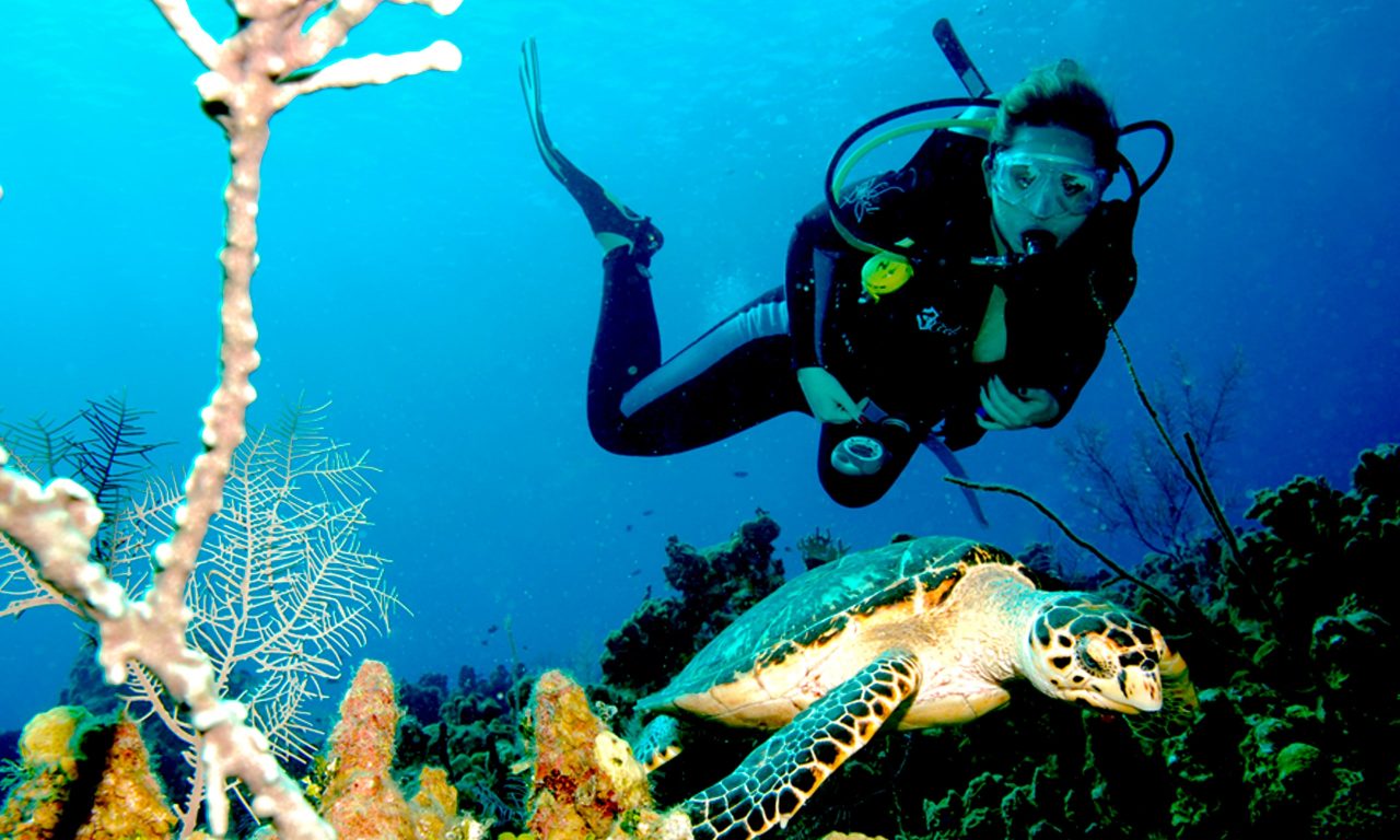 SCUBA DIVING IN COZUMEL