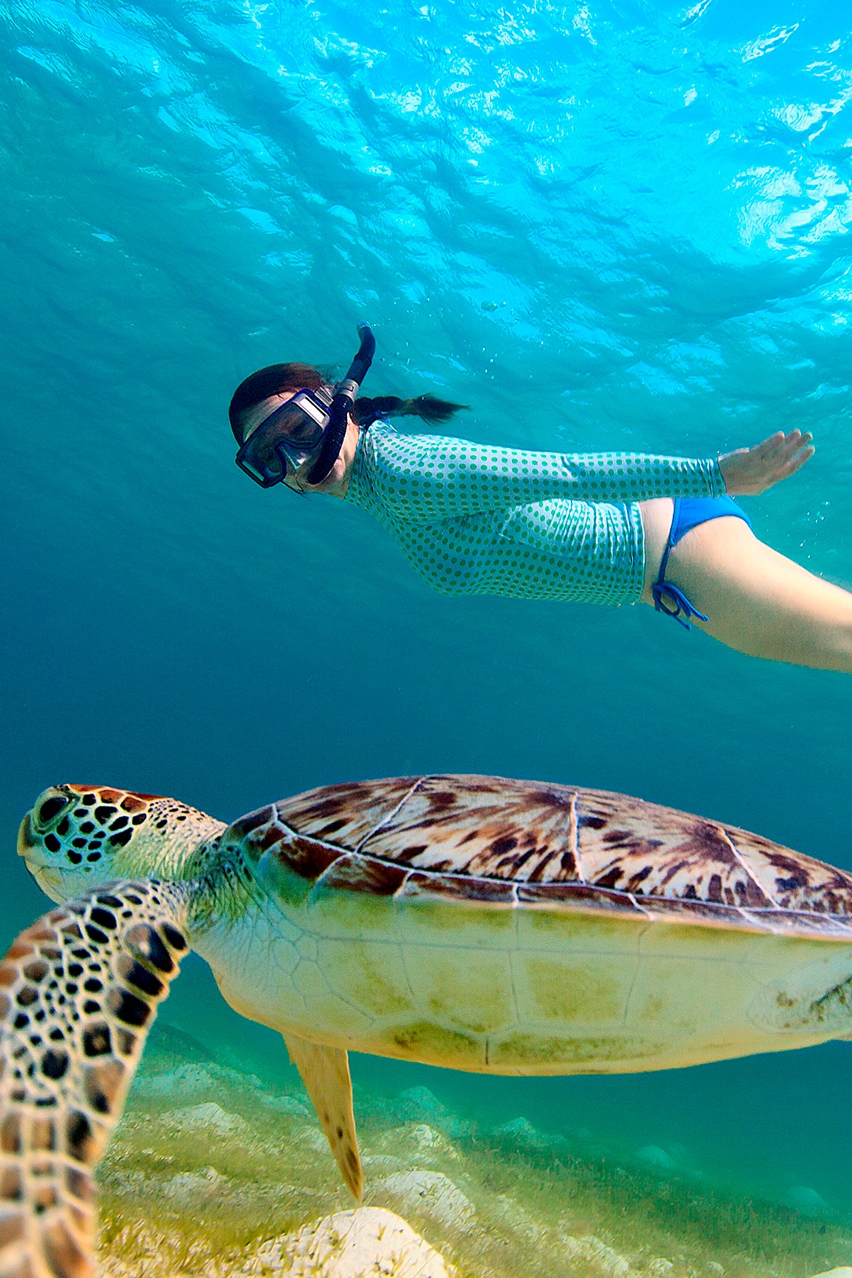 PRIVATE SNORKELING TRIP